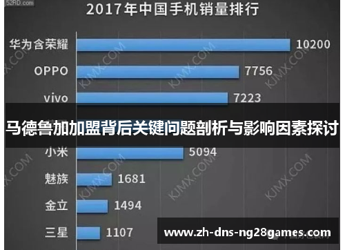 马德鲁加加盟背后关键问题剖析与影响因素探讨